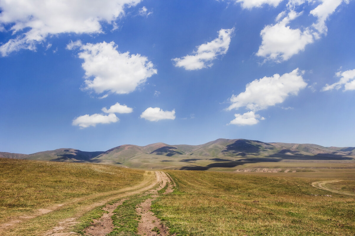 Горная дорога и "вечные странники..." - LudMila Горная дорога и "вечные странники..." - LudMila