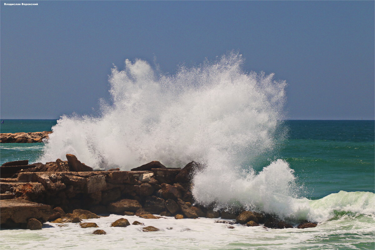 Хайфа 2025 - Владислав Воровский 