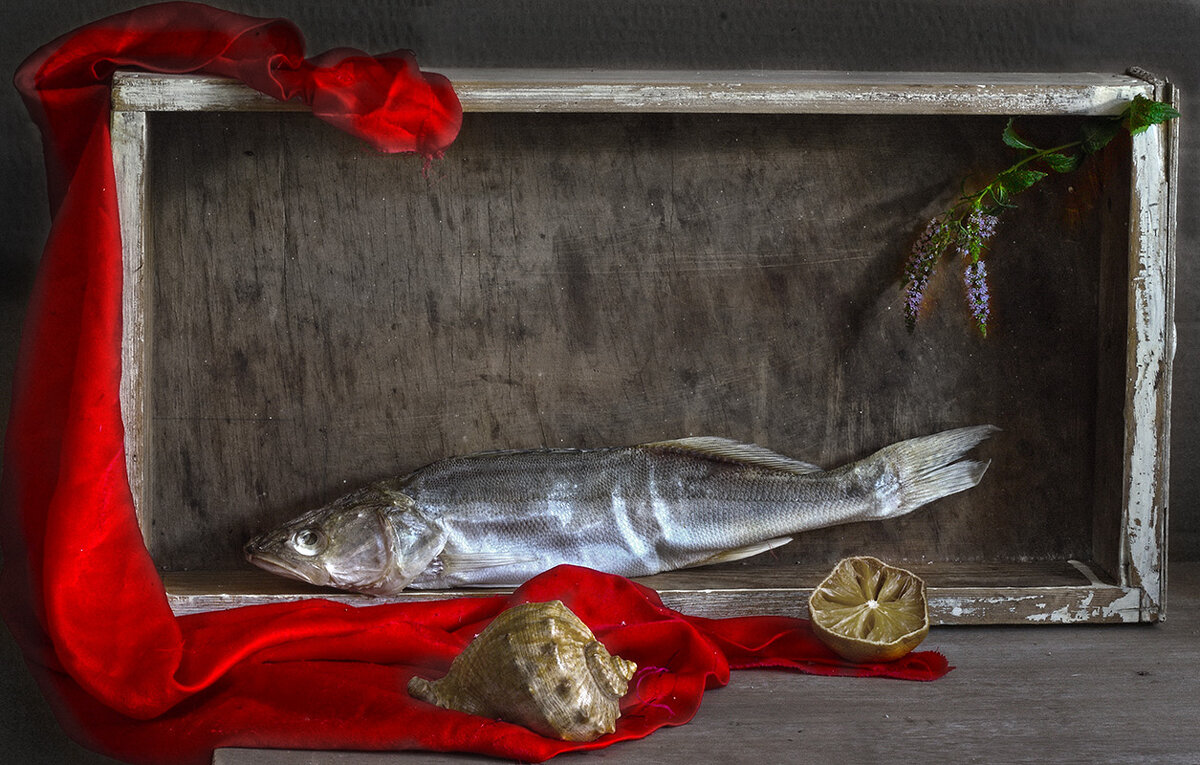 Сула - Наталья S Сула - Наталья S