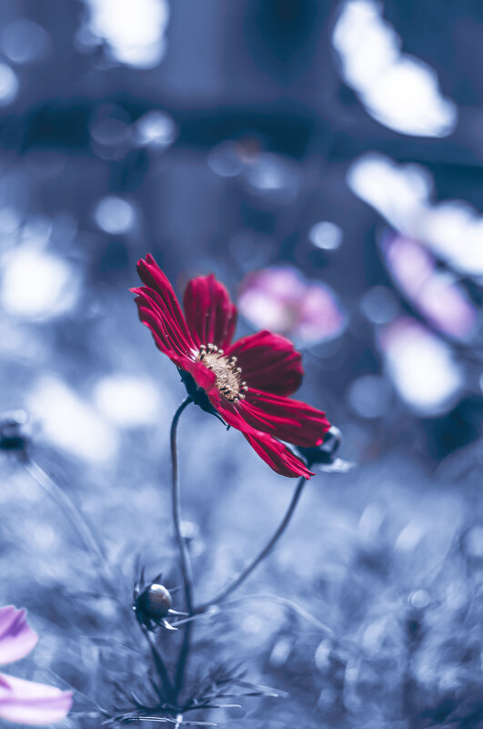 одиночество - Lyubov Busova