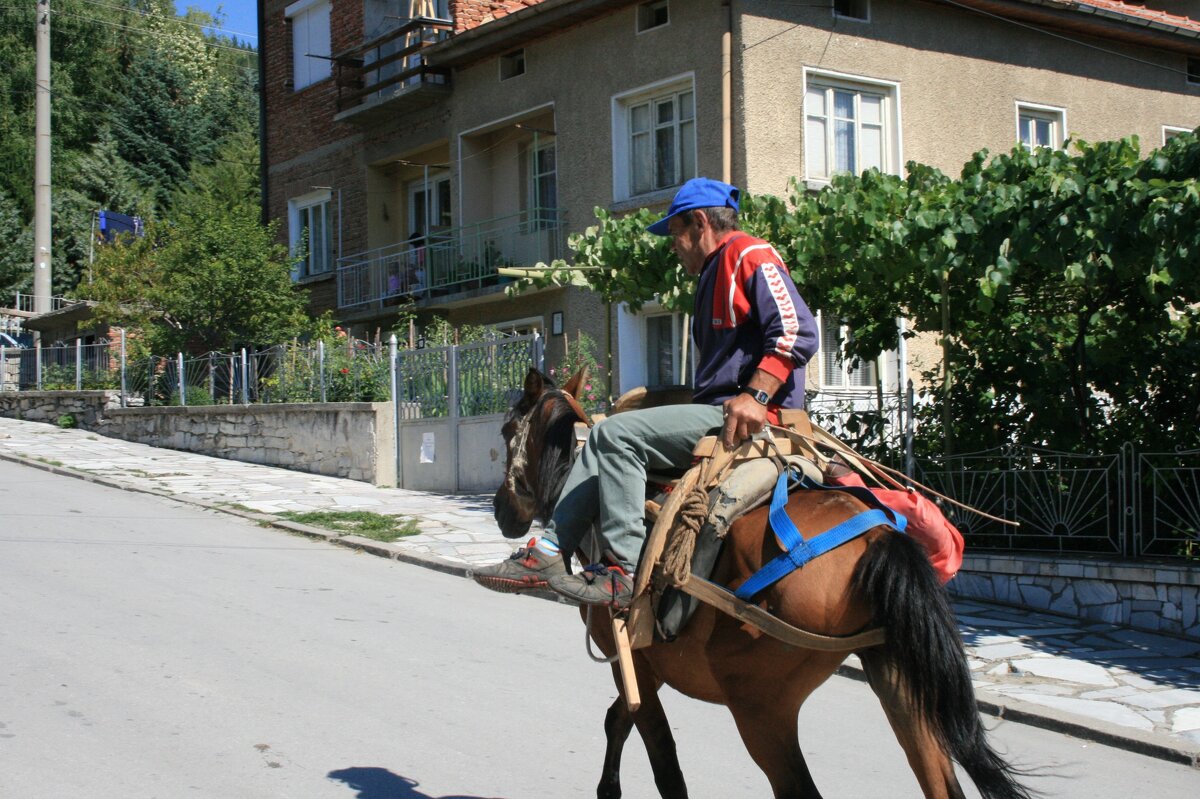 Сельский пастух - Аркадий Басович