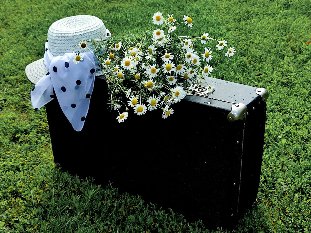 *** - Валентина Богатко *** - Валентина Богатко