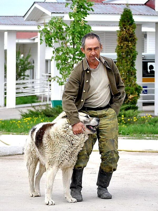 Надёжный страж Рекс. - Алексей Бубнов