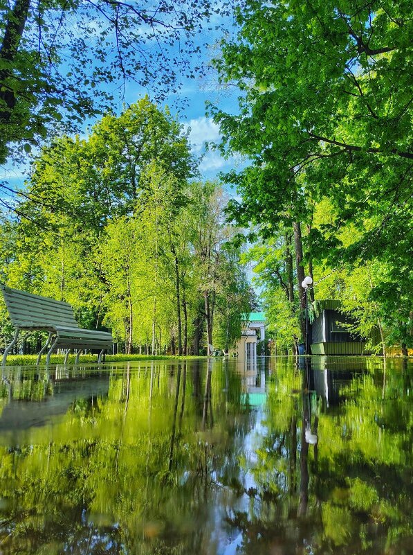 Лето - Владимир Мисик