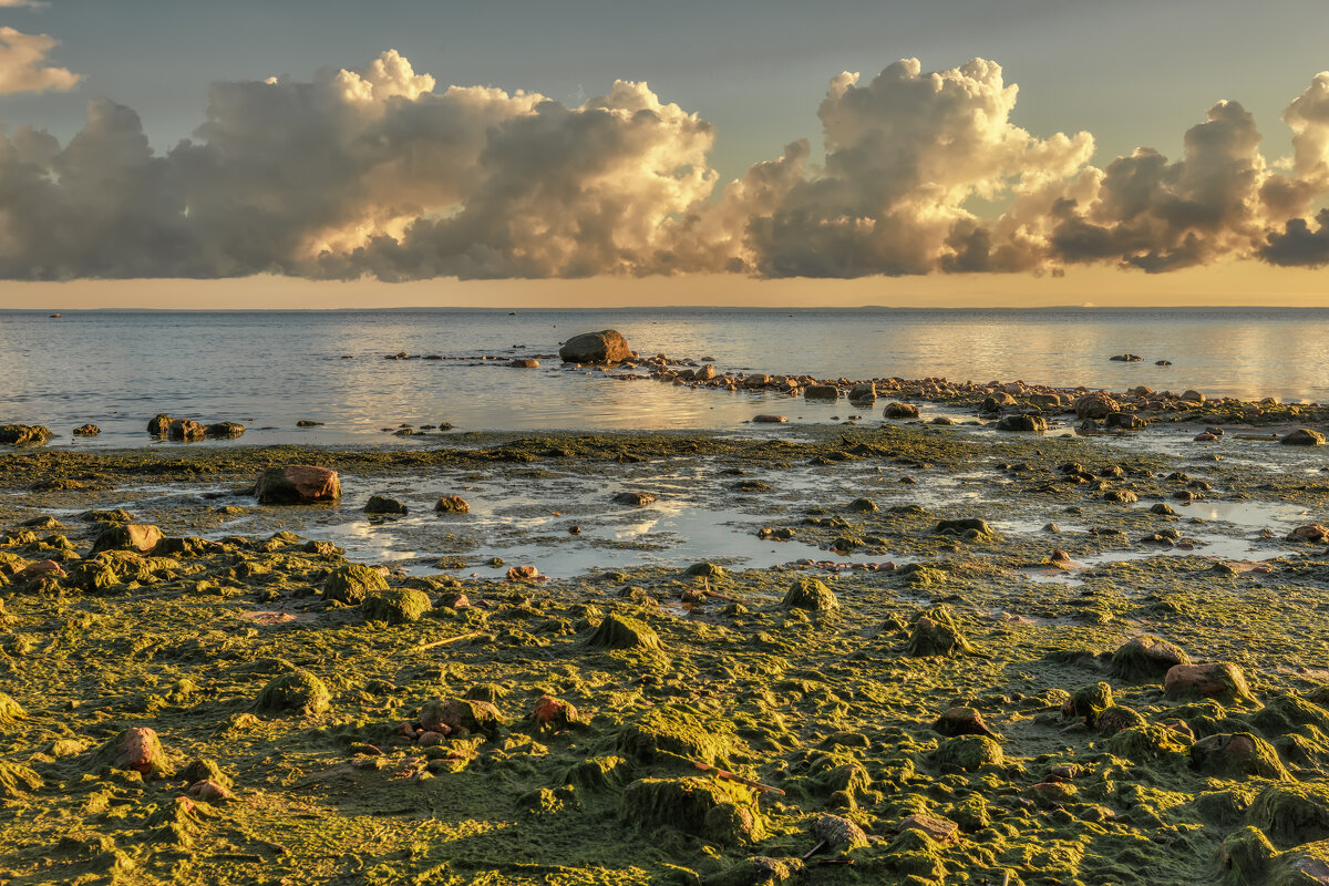 Рассвет - Владимир Колесников