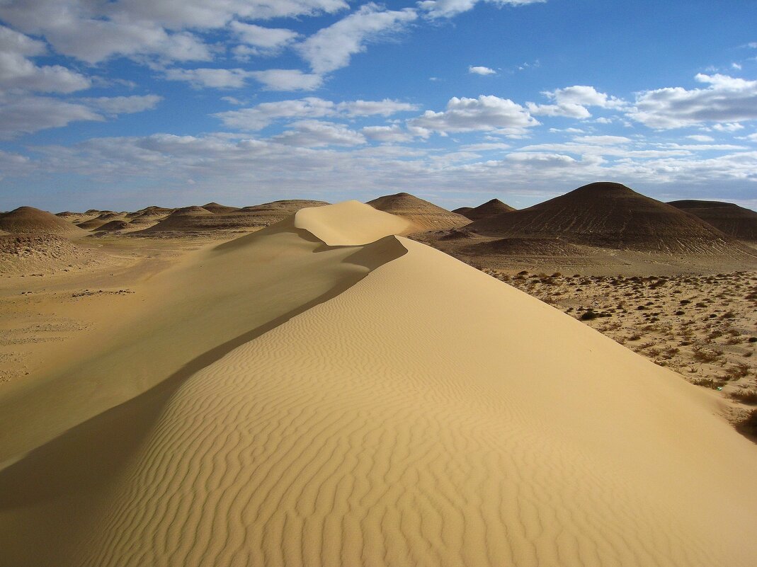 Дюна. - unix (Илья Утропов)