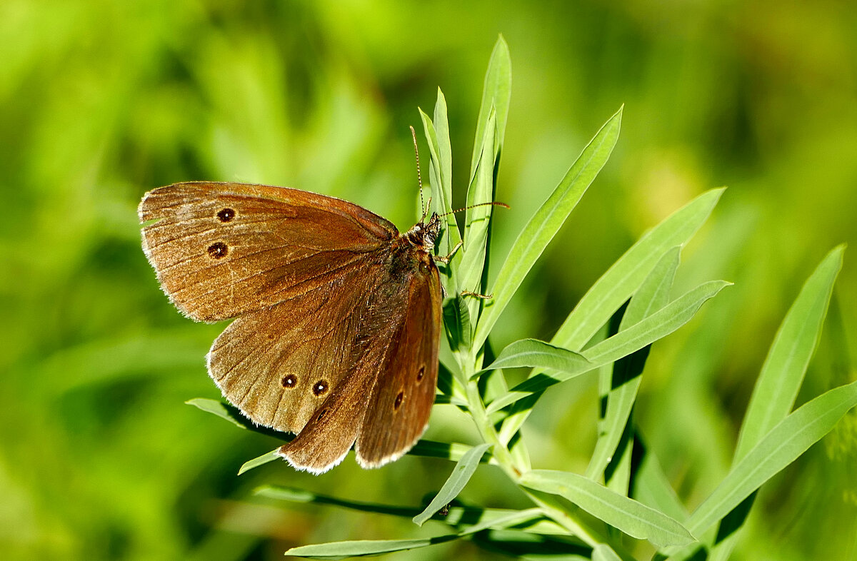 из сегодняшней съемки 2 - Александр Прокудин