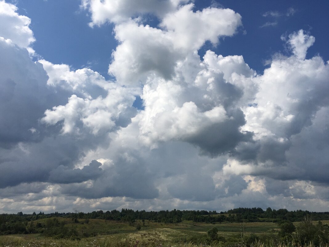 Эпическая Русь... - Владимир Павлов