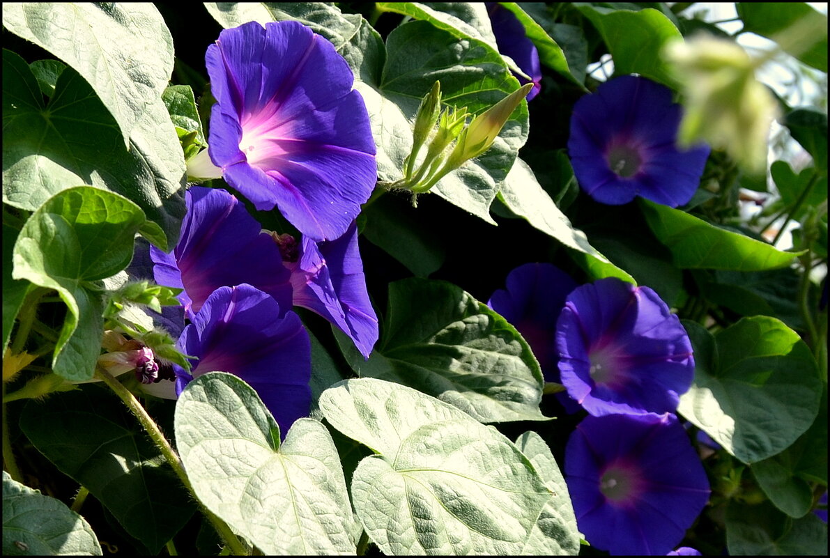 _____ - Татьяна Касьяненко