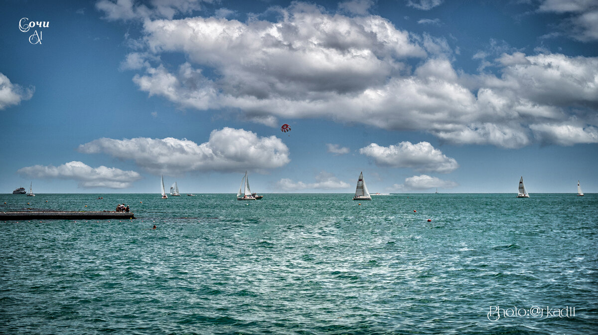 Регата - arkadii 