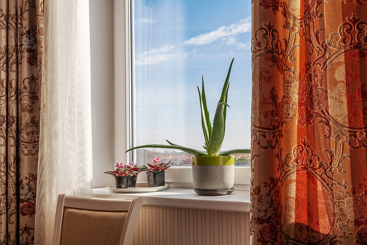 Пионерский - Дмитрий 