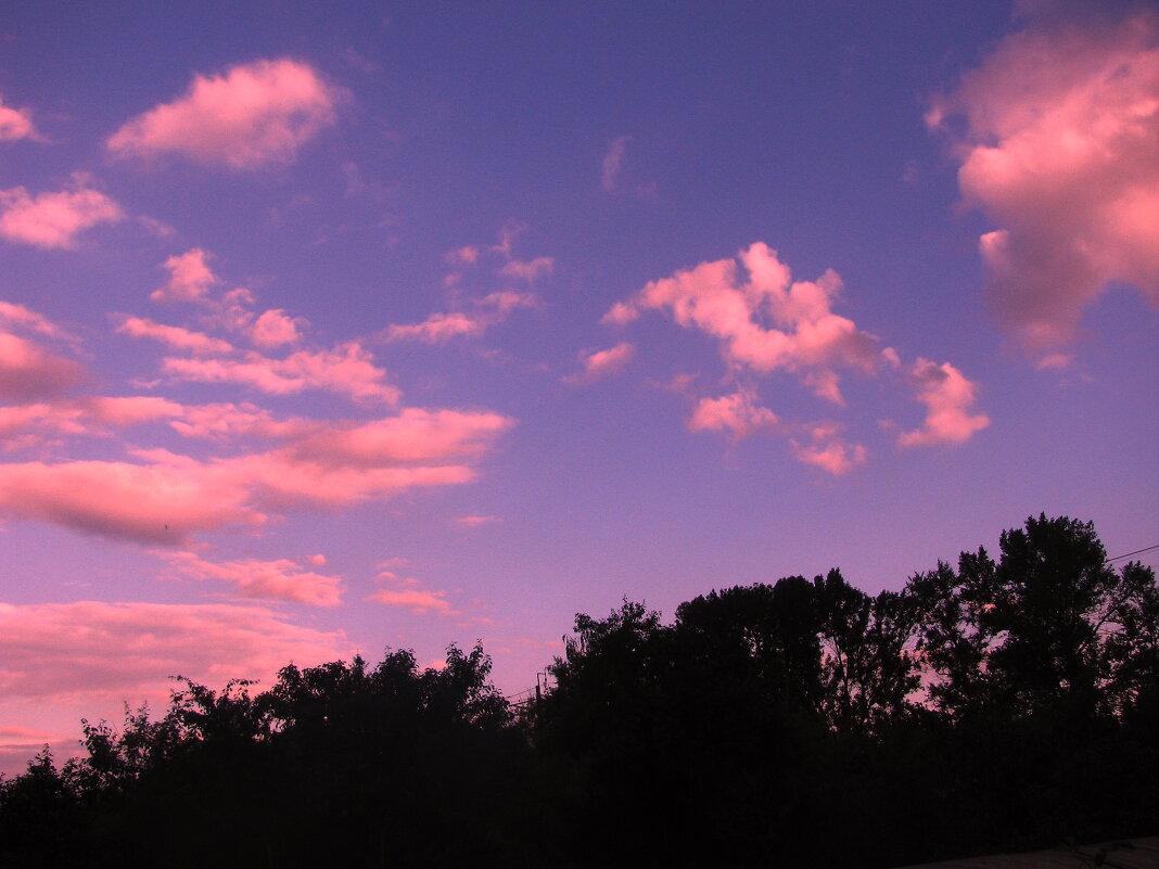 Июльский вечер - Людмила Смородинская
