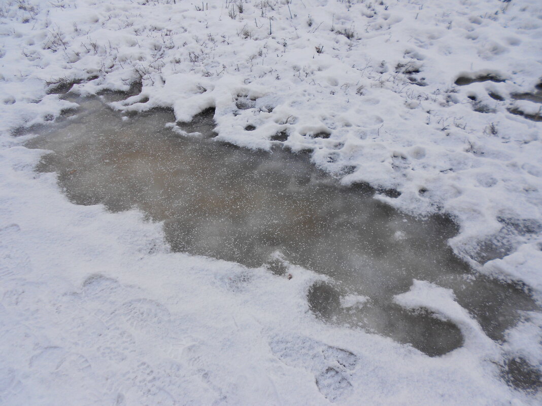 Причуды января - Елена Шаламова