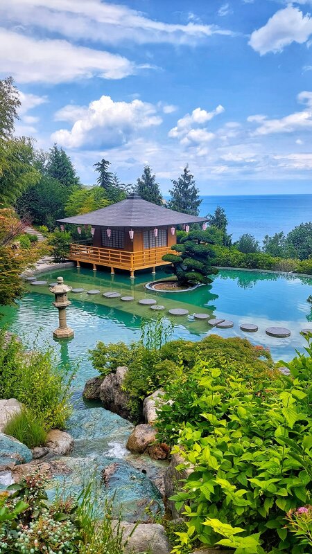 Японский сад - Оксана Н.