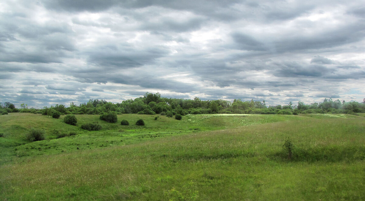 Долина реки Саватейки - Александр Ильчевский 