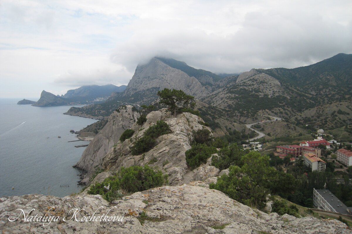 Природа Крыма - Amazing Cosmea