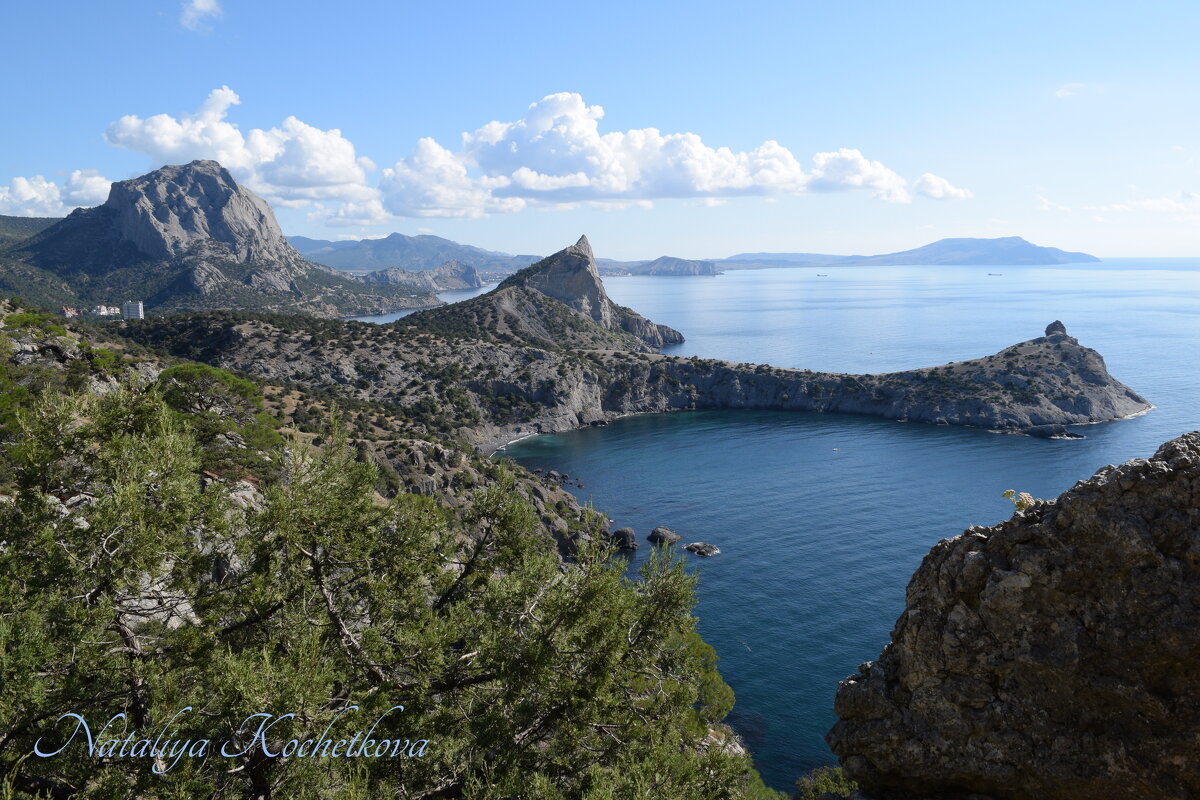 Природа Крыма - Amazing Cosmea