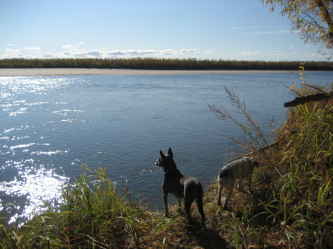 Вперёдсмотрящий - Anna Ivanova