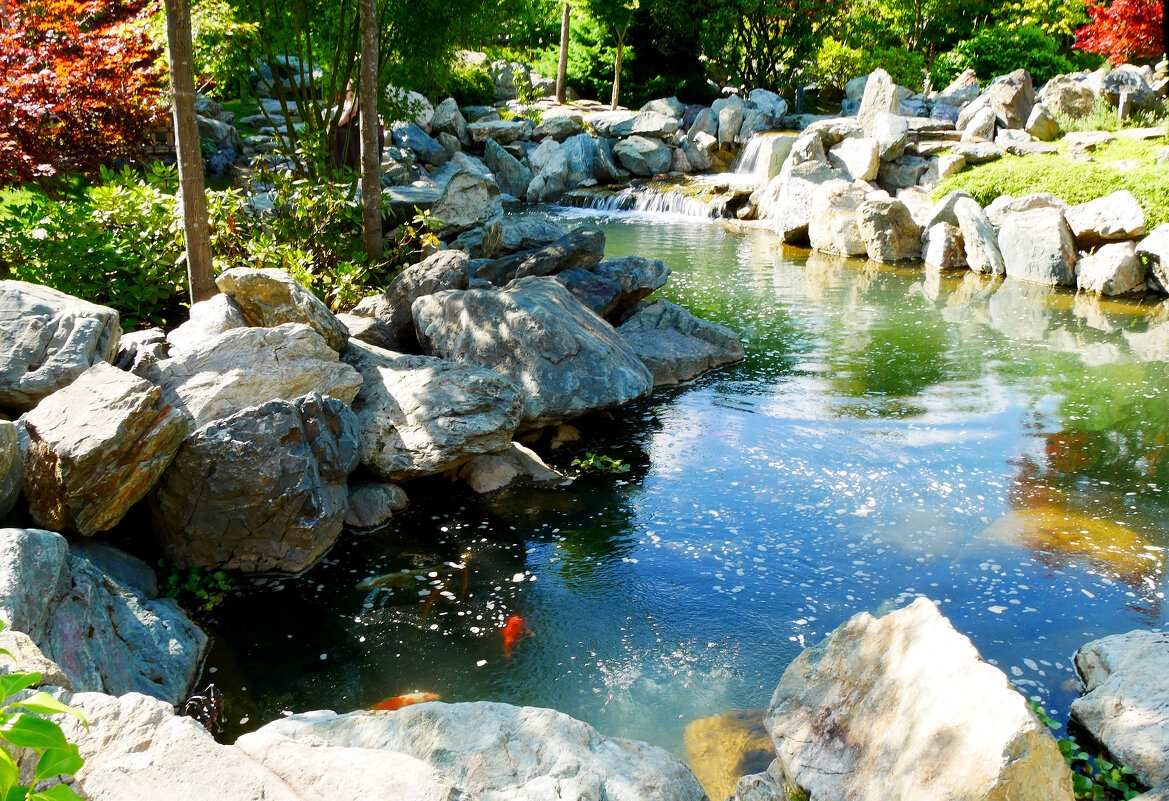 Японский сад. Парк Краснодар. - Alexey YakovLev Японский сад. Парк Краснодар. - Alexey YakovLev