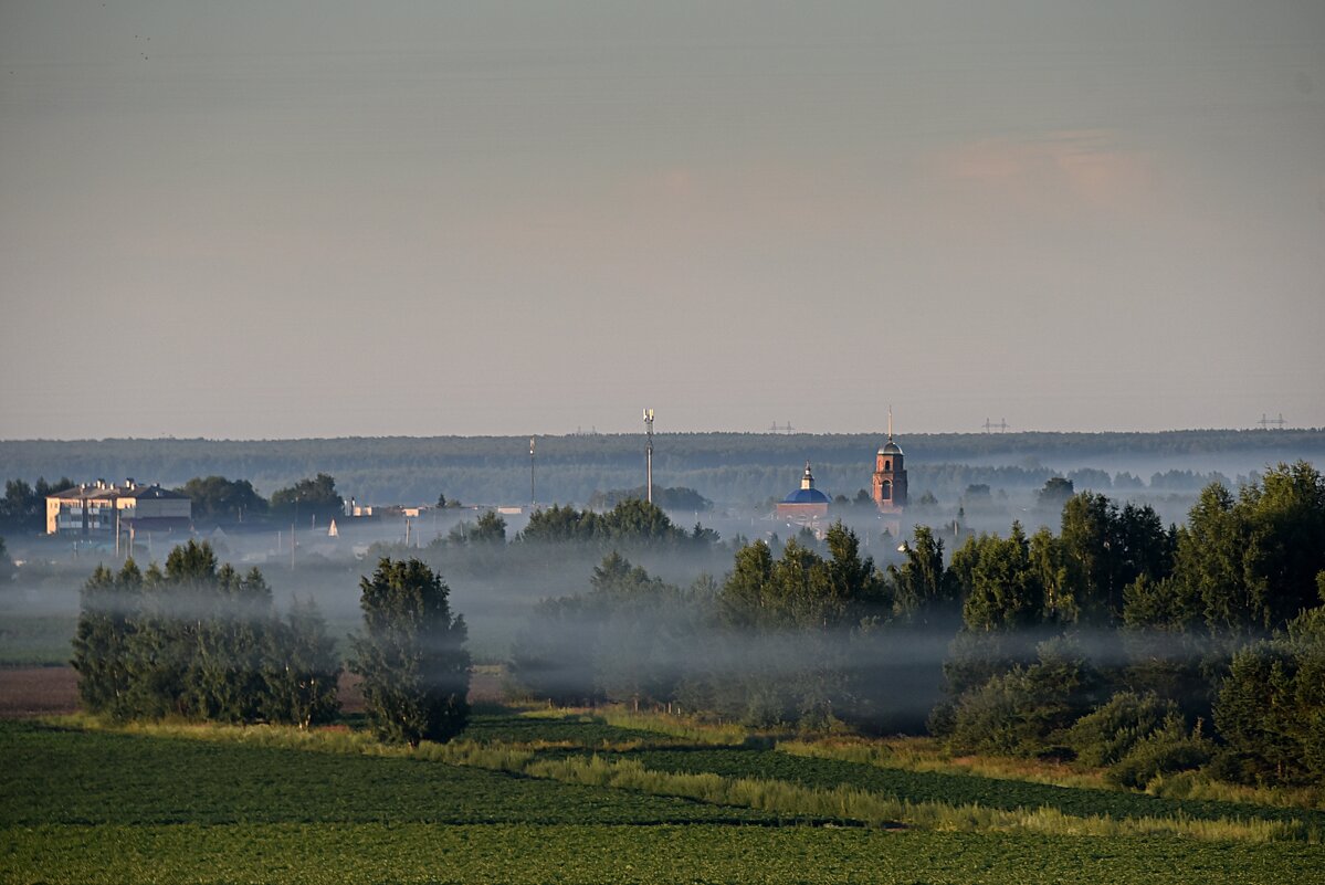 Июльское утро - Геннадий Ячменев