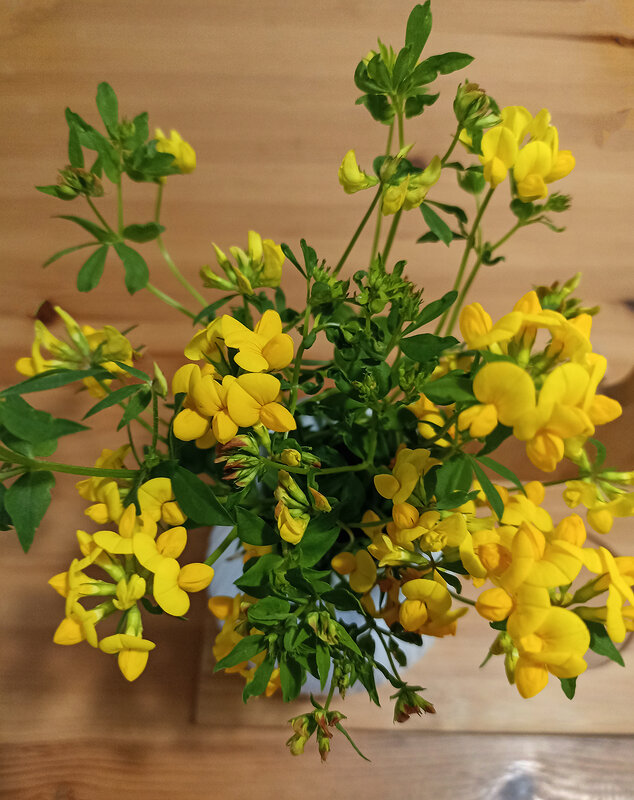 Цветы подарок лета. - Лилия *