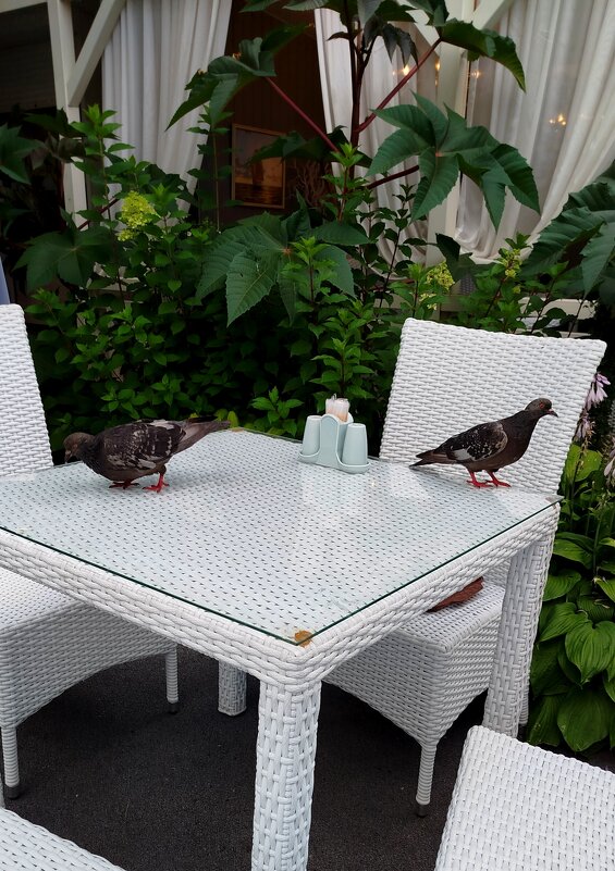 Сделали заказ, ждут! - светлана льдокова