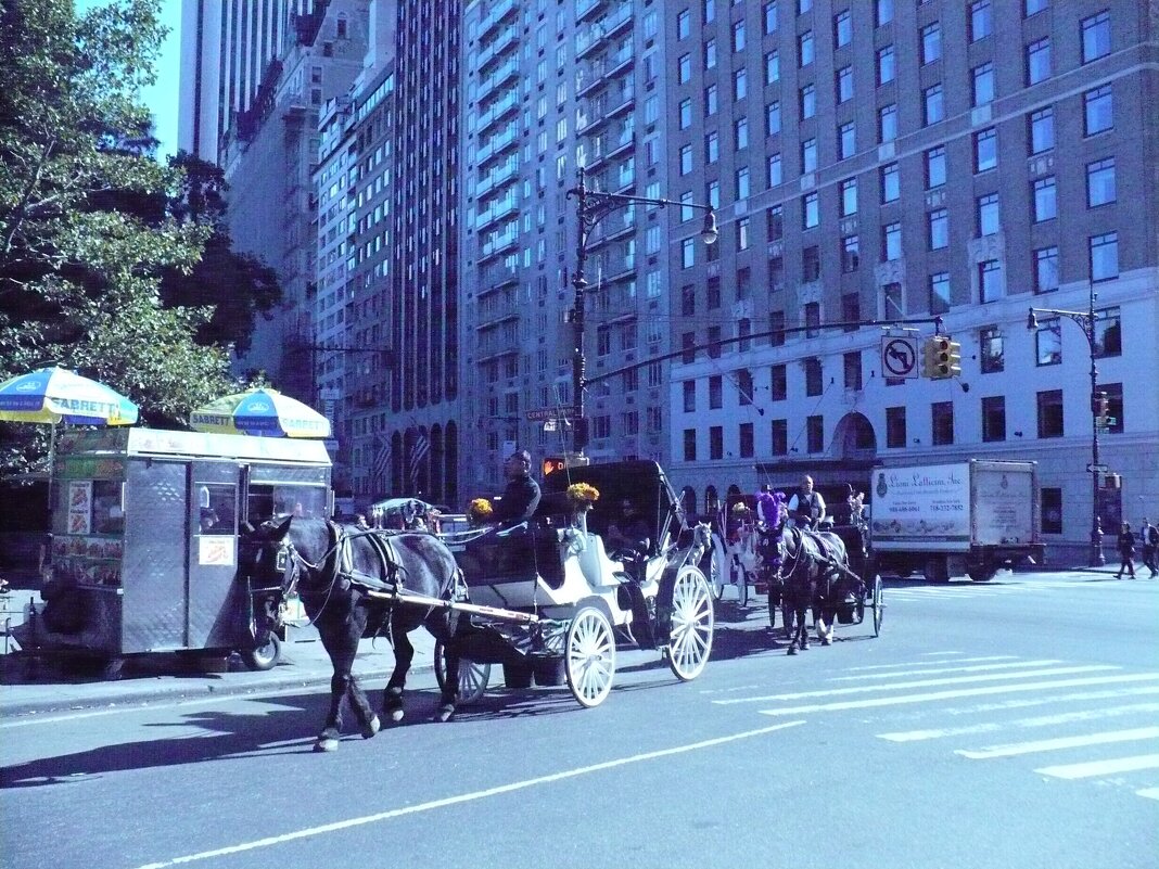 Нью-Йорк  Октябрь 2013-го года ХХ-го века... :) - Валерий Кокорев