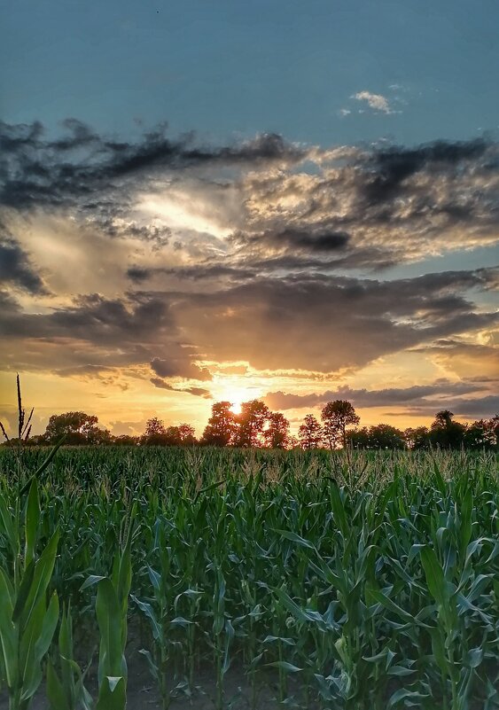 На закате. - adrow 