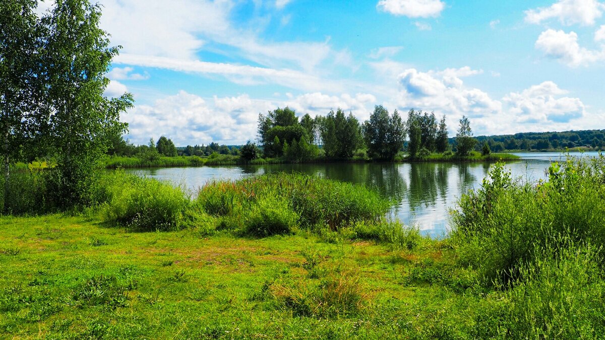 Природа Смоленщины в конце июля (репортаж из поездок по области). - Милешкин Владимир Алексеевич 