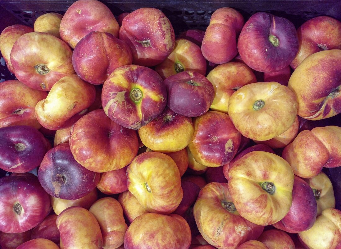 Нектарины - Валерий Иванович Нектарины - Валерий Иванович