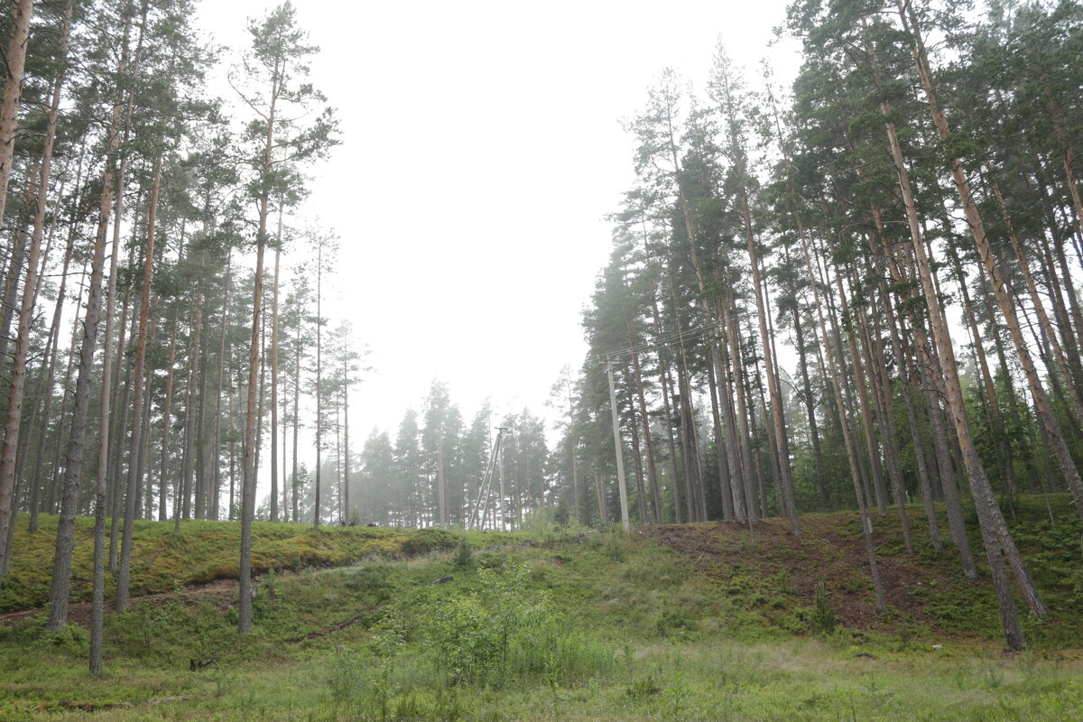Остановился ледник - Максим Егоров