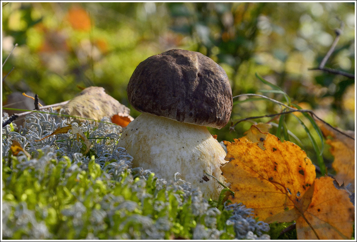 Осенний - Aleksandr Gal