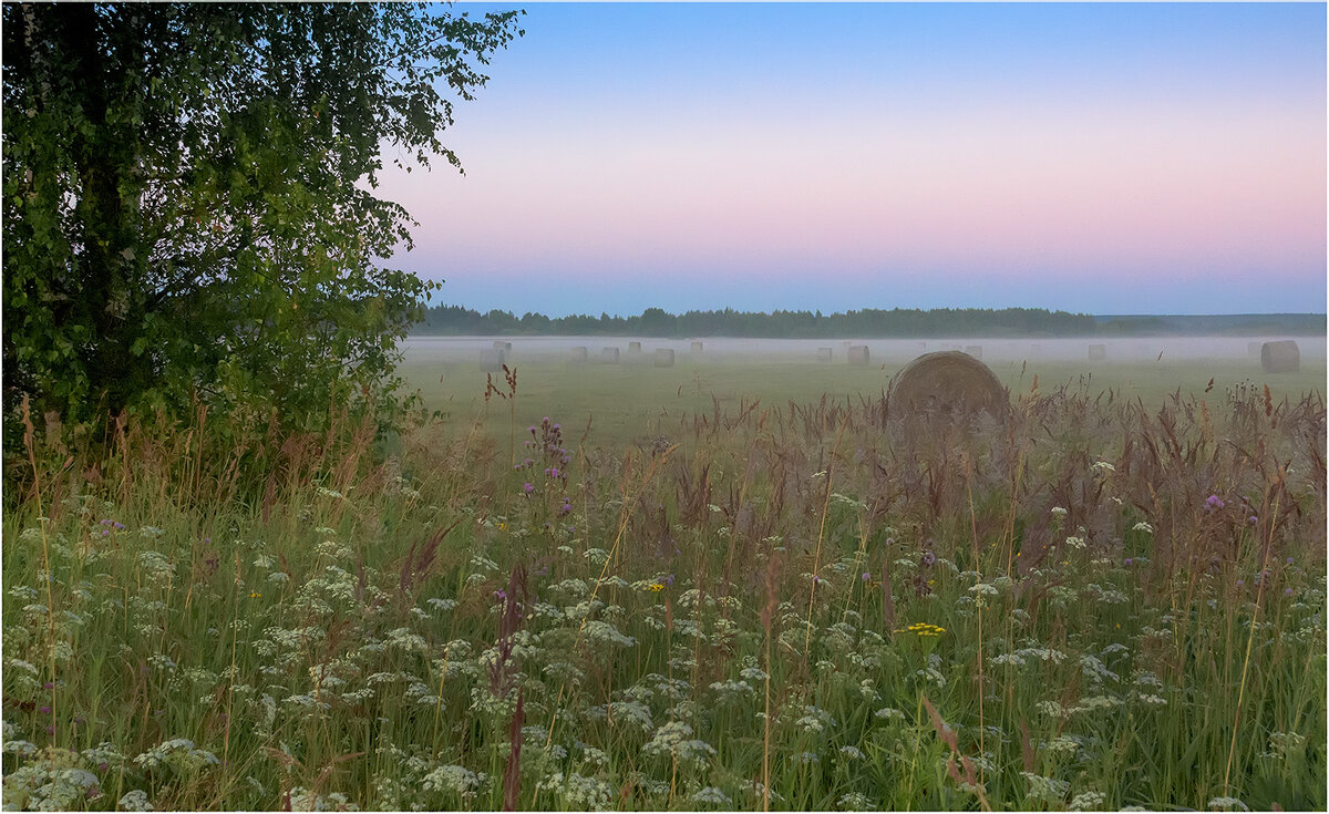 В ранний час - Валентин Котляров