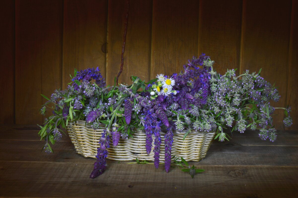 *** - Надежда Куркина 