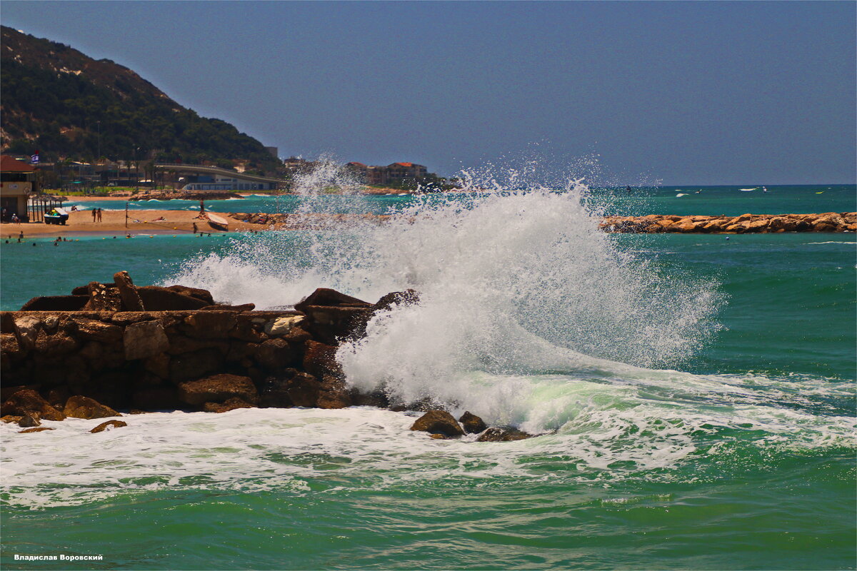 Хайфа 2025 - Владислав Воровский 