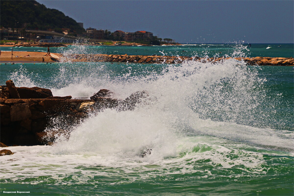 Хайфа 2025 - Владислав Воровский 