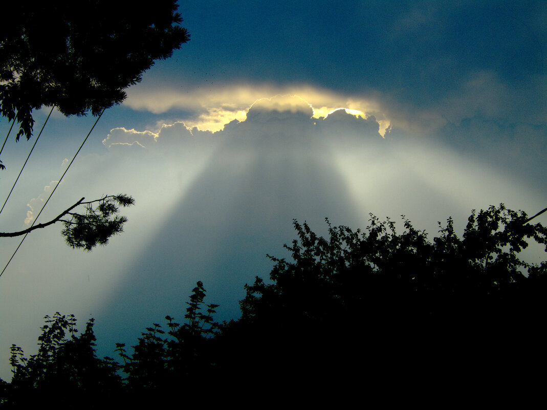 Посадка "рептилоидов" - Владимир Шишкин