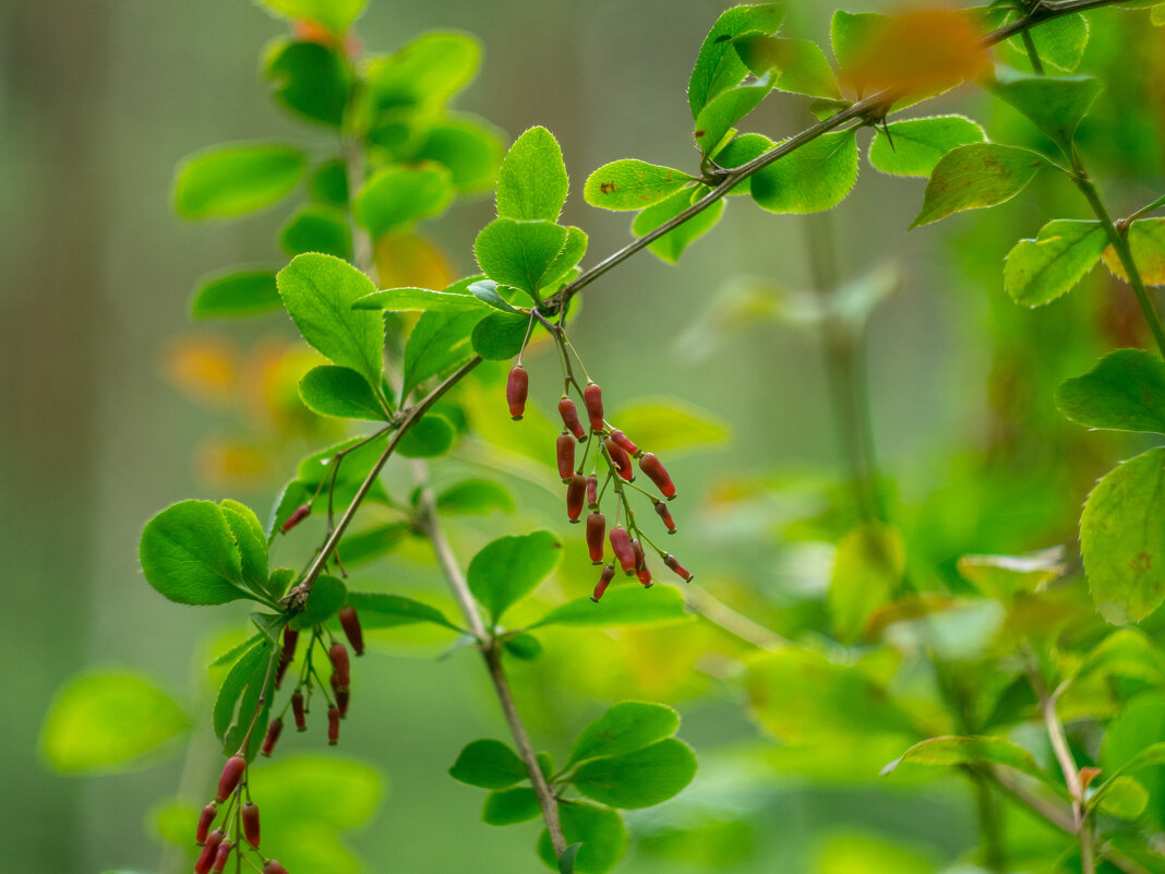 ___ - Yuriy V ___ - Yuriy V