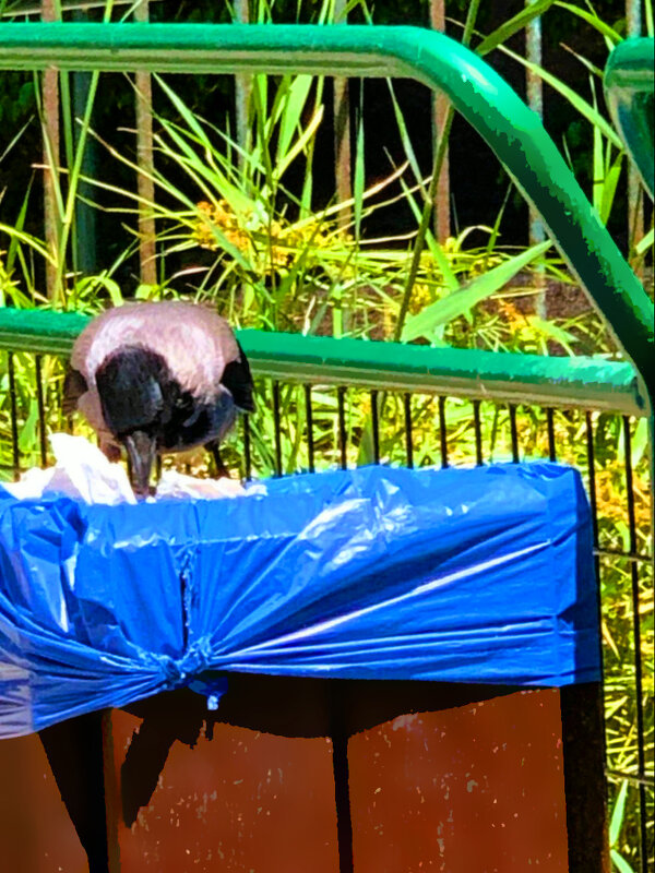 КУШАТЬ   ПОДАНО - Анатолий Малобродский