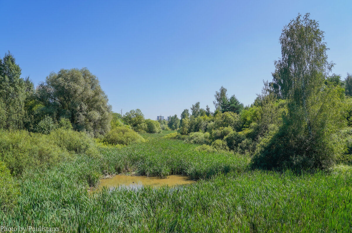 В летний полдень... - Владимир Жданов В летний полдень... - Владимир Жданов