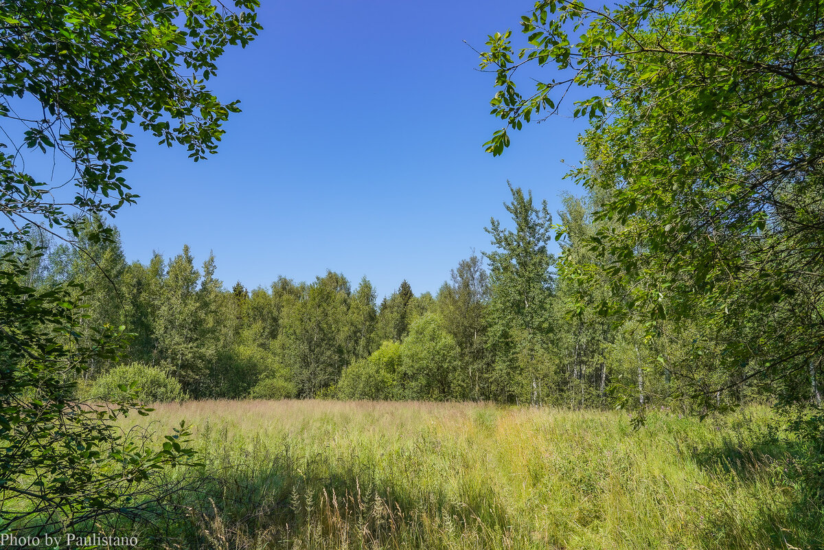 В летний полдень... - Владимир Жданов В летний полдень... - Владимир Жданов