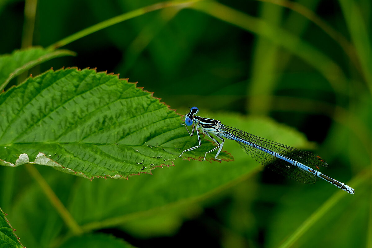 из вчерашней съемки 2 - Александр Прокудин из вчерашней съемки 2 - Александр Прокудин