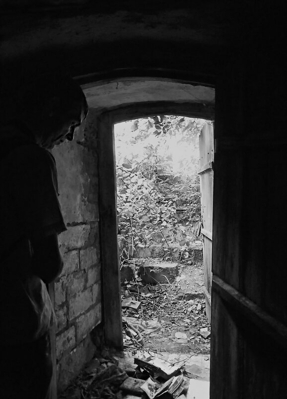 Выход из лаборатории Я.В.Брюса - Наталья Rosenwasser