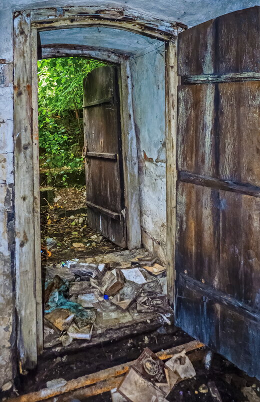 Выход из лаборатории Якова Брюса - Наталья Rosenwasser