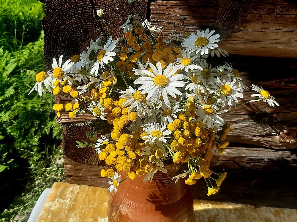 Летний букет ! - Нина Андронова Летний букет ! - Нина Андронова