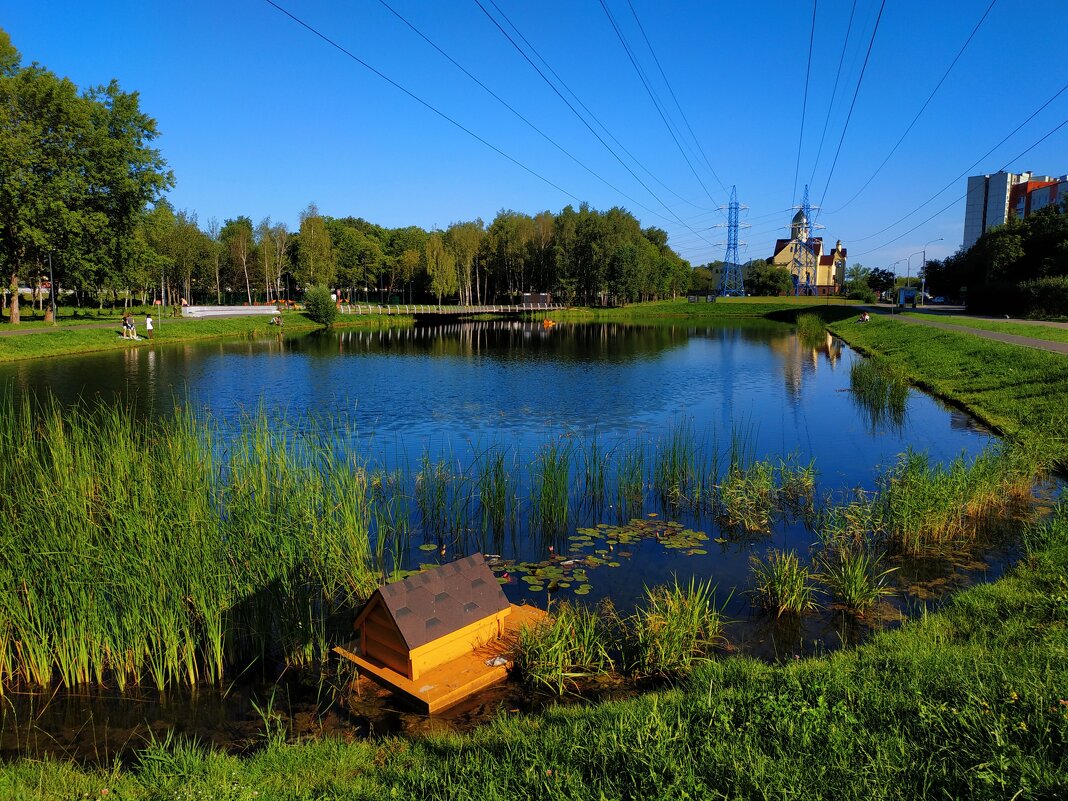 * * * - Андрей Лукьянов