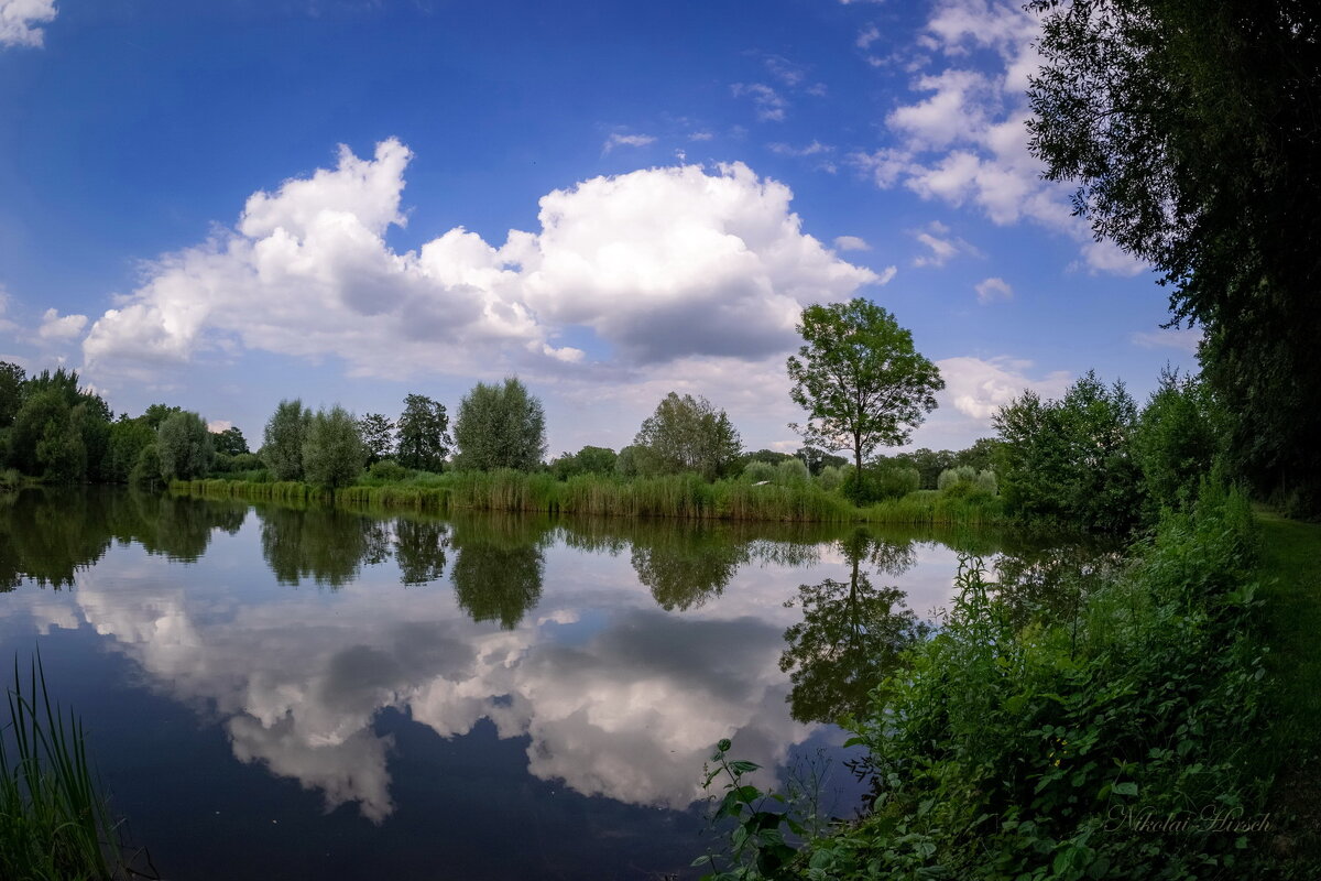 Облако в воде... - Николай Гирш