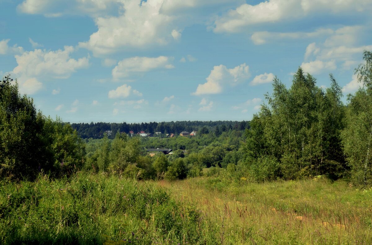 А лето цвета ивы, зеленое красивое! - Татьяна Помогалова