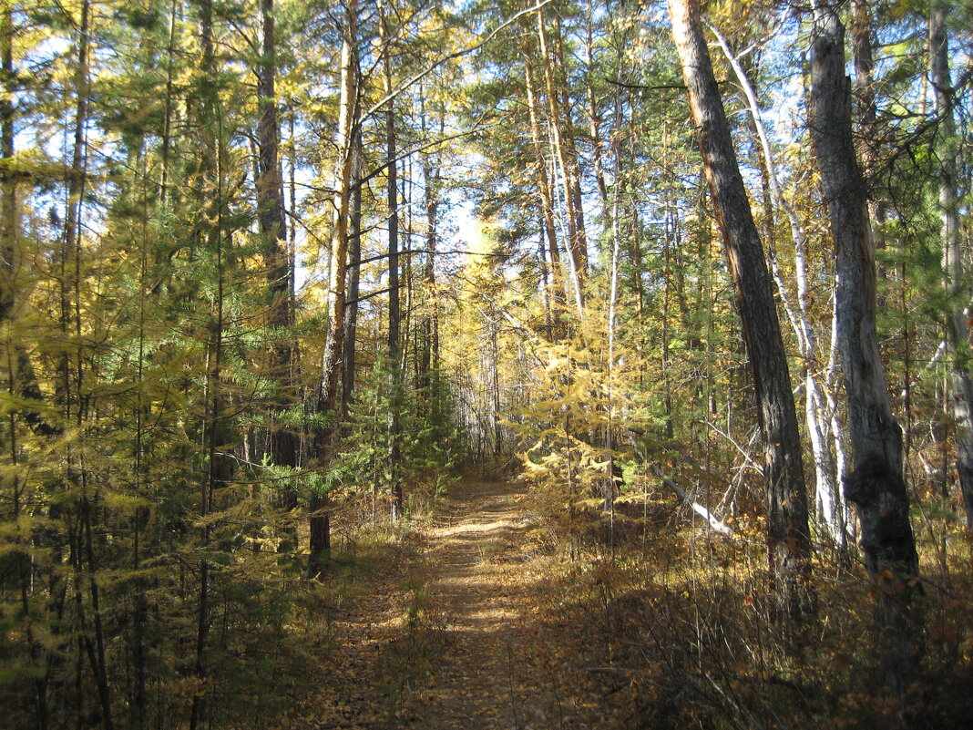 Осень - Anna Ivanova