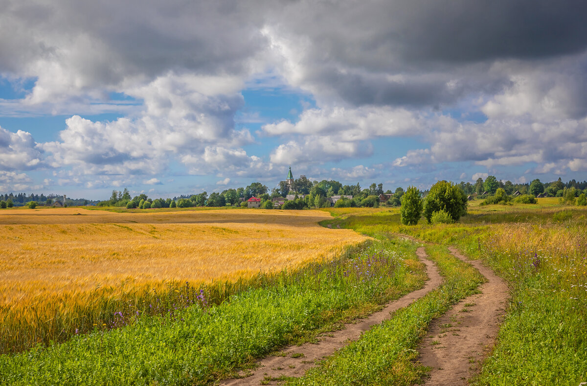 **** - Елизавета .